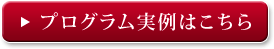 プログラム実例はこちら