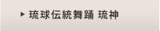 琉球伝統舞踊　琉神